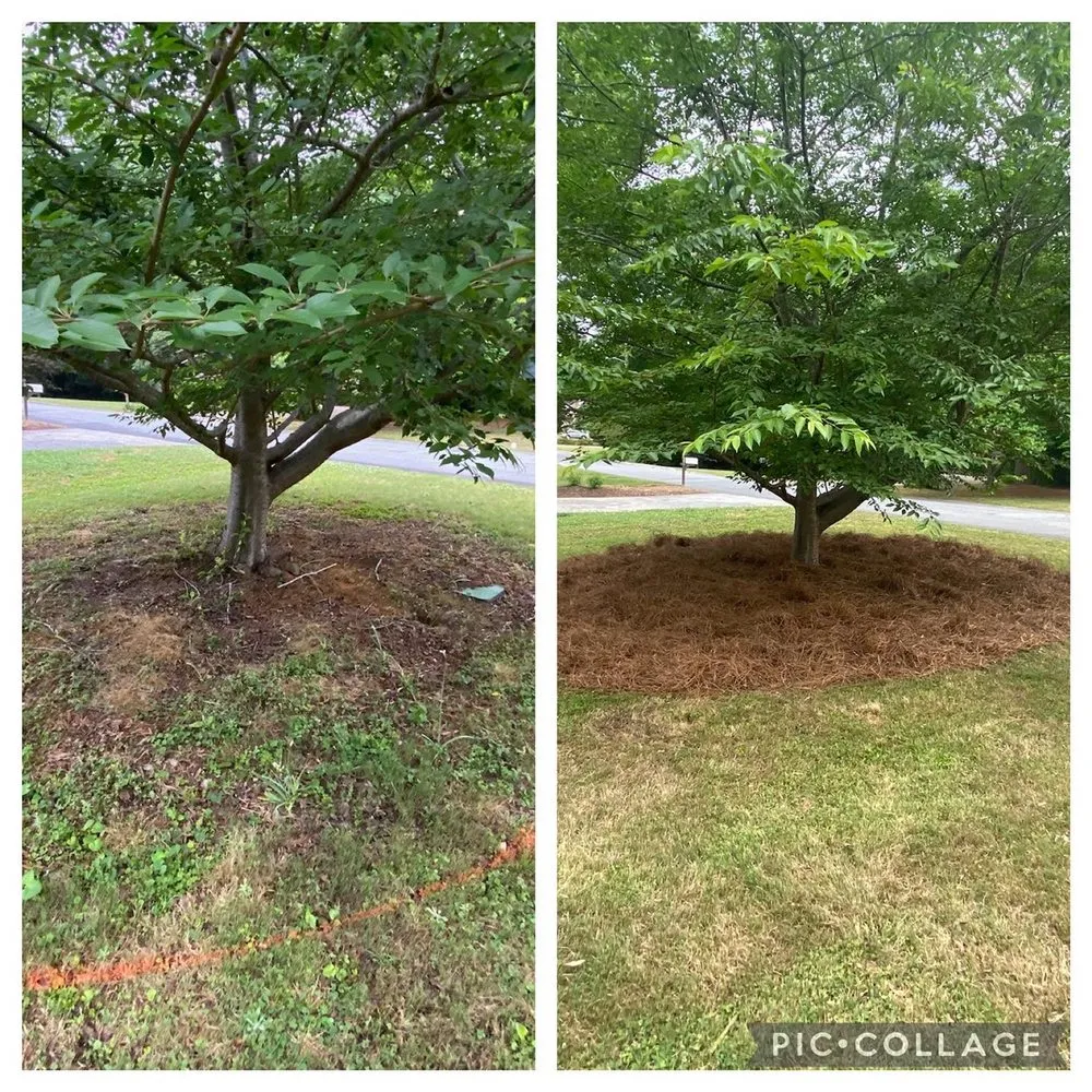 Expert outdoor landscaping in Dallas, GA by Your Yard Guy