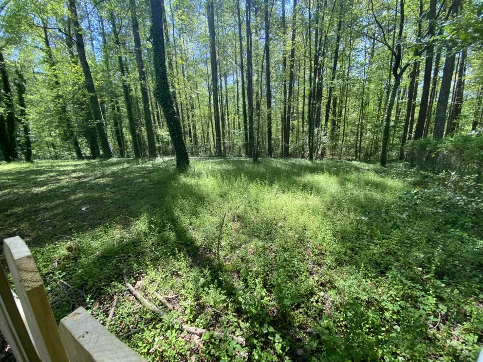 Reliable landscape design experts serving Dallas, GA - Your Yard Guy