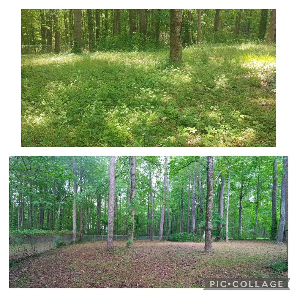 Top-rated lawn care service for year-round maintenance in Dallas, GA by Your Yard Guy