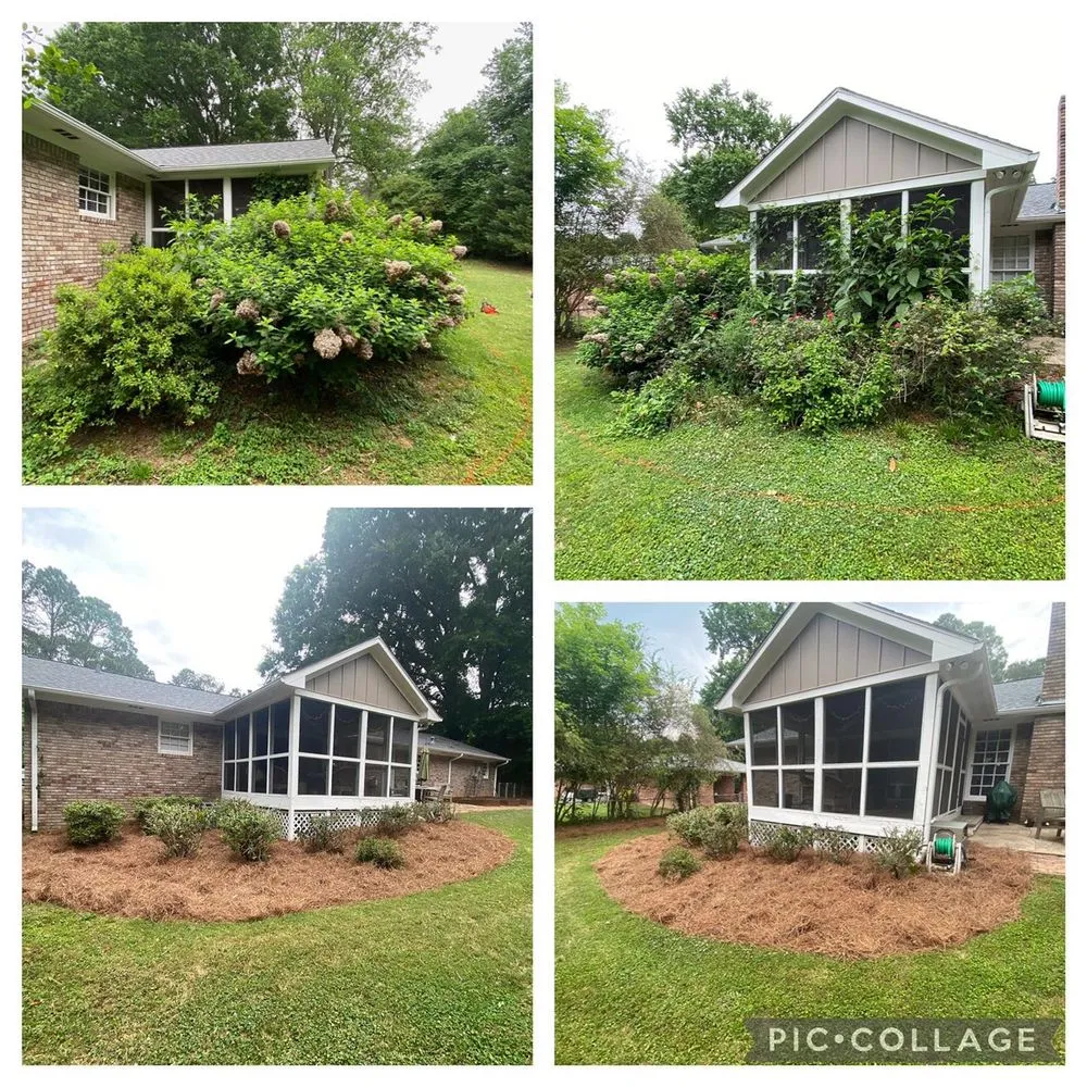 Trusted yard cleanup service for year-round maintenance across Dallas, GA - Your Yard Guy