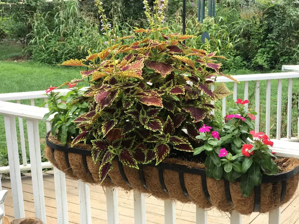 Local outdoor landscaping with custom design across Greenville, SC - Your Yard is a Garden Landscaping