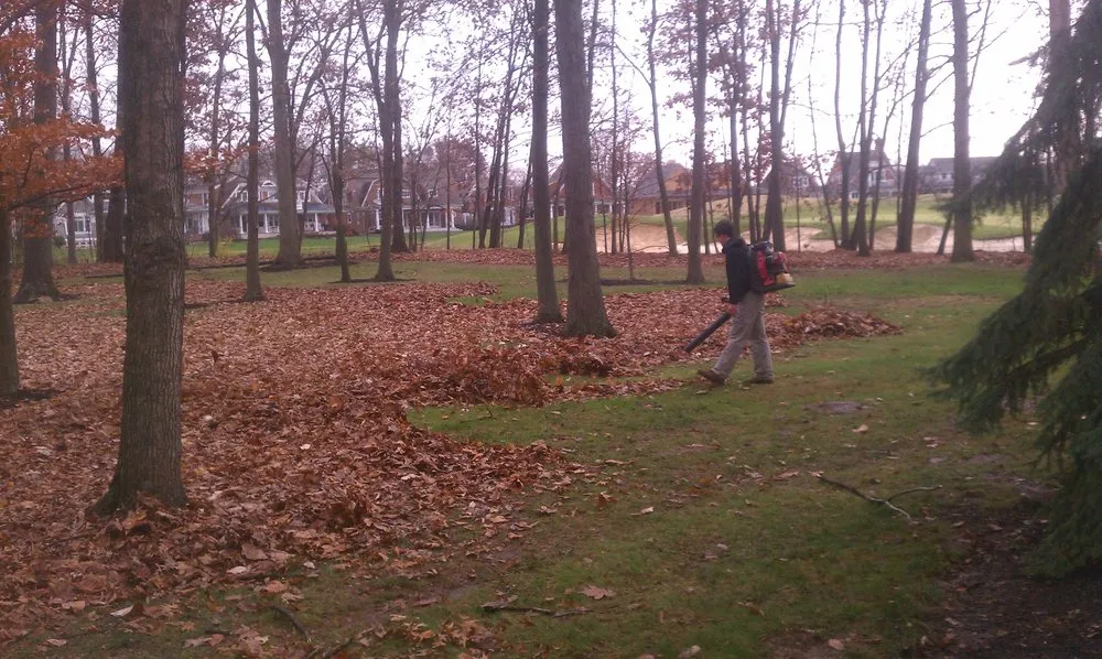 Top-rated outdoor landscaping for beautiful yards across Powell, OH - Your Yard Solutions