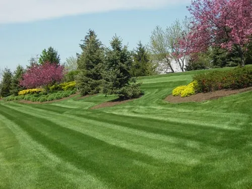 Reliable yard cleanup service for year-round maintenance in Powell, OH by Your Yard Solutions