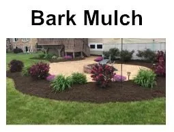 Top-rated yard cleanup service in Grafton, OH by YourScape