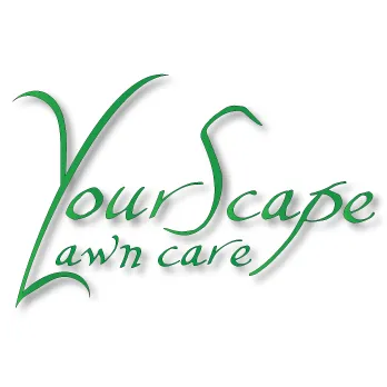Local yard cleanup service with custom design in Grafton, OH by YourScape