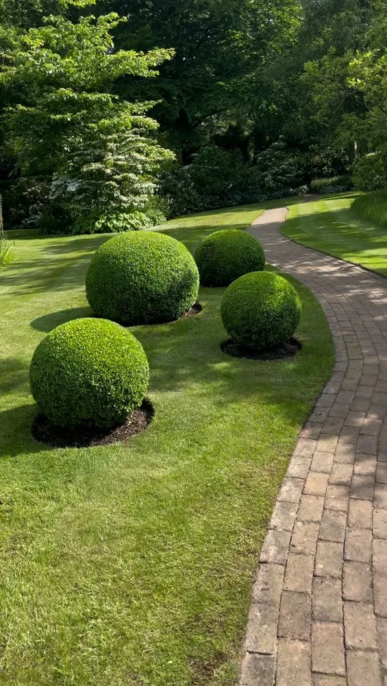 Local lawn care service for residential properties across St. Cloud, FL - YourVision 3D Landscape Design