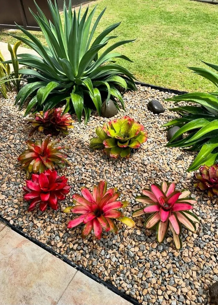 Professional garden landscaping in St. Cloud, FL - YourVision 3D Landscape Design