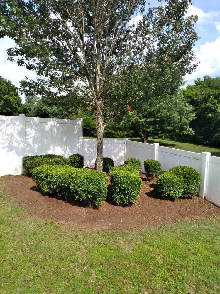 Local residential landscaping in Sumter, SC - Youth Lawn Care