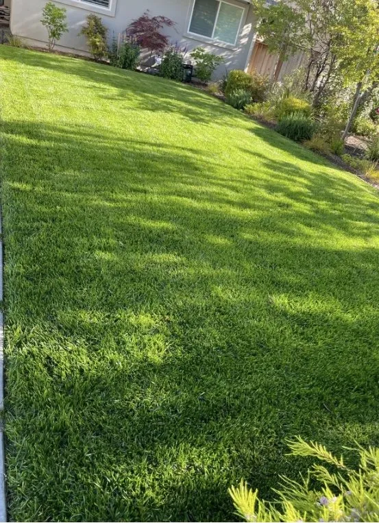 Local lawn mowing service experts serving Richland, WA - Youth Yard Work