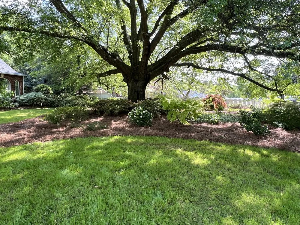 Local landscape design in North Augusta, SC - Youthful Yards Lawn & Exterior Services