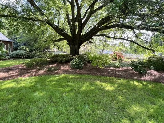 Youthful Yards Lawn & Exterior Services Logo