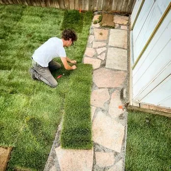 Affordable yard maintenance for homes across Fort Collins, CO - Youthscape