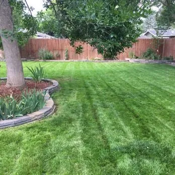 Trusted landscaping services in Fort Collins, CO - Youthscape
