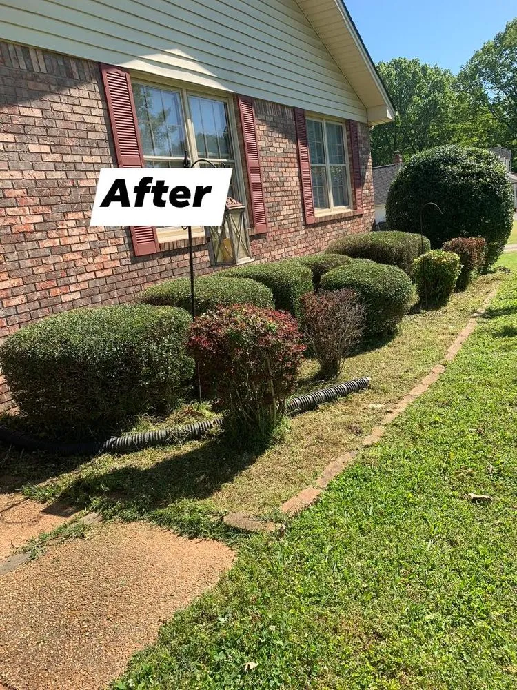 Affordable lawn care service in Russellville, AL by Yovani Lawn Care
