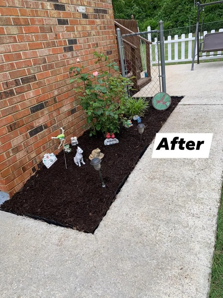 Local lawn care service experts serving Russellville, AL - Yovani Lawn Care