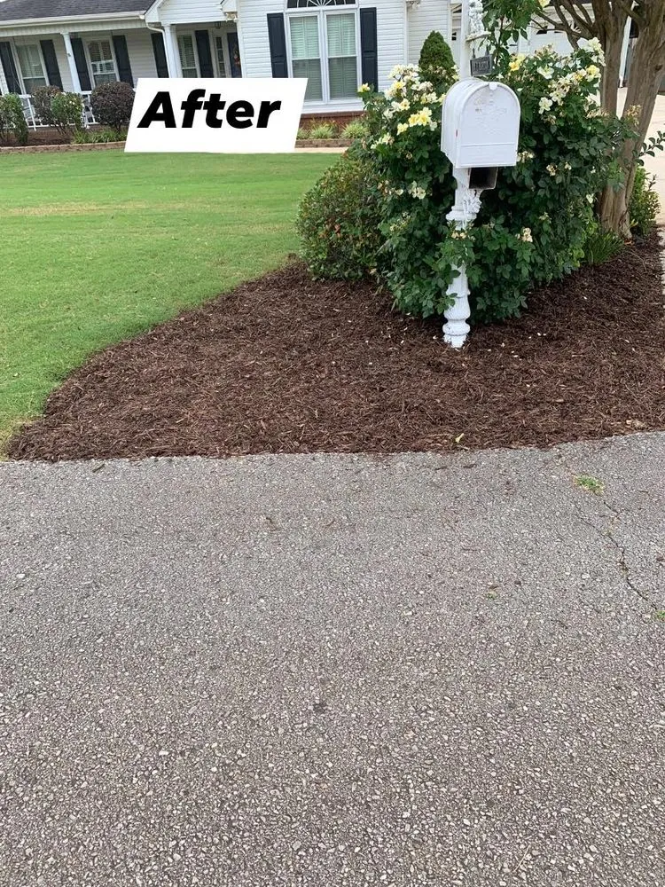 Affordable residential landscaping experts serving Russellville, AL - Yovani Lawn Care