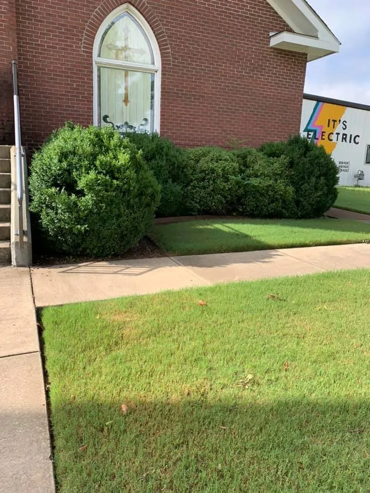 Professional landscaping services in Russellville, AL - Yovani Lawn Care