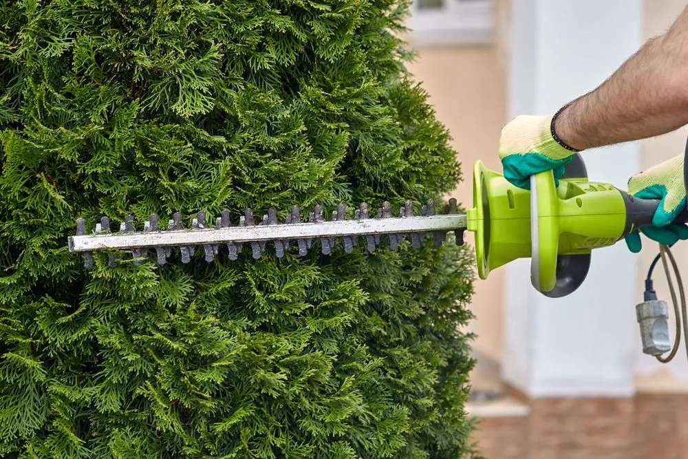 Reliable residential landscaping experts serving Stuart, FL - Yovani Perez Landscape & Tree Service