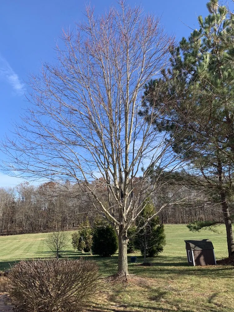 Top-rated landscaping services in Madison, VA by Yowell's Property Enhancements