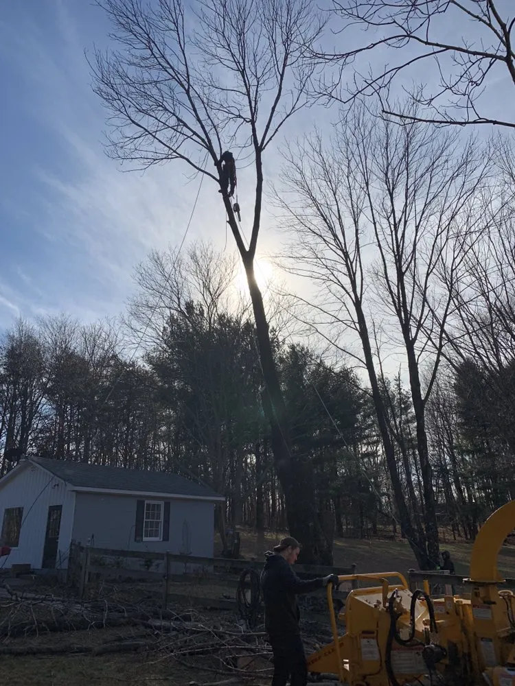 Local garden landscaping for year-round maintenance in Madison, VA by Yowell's Property Enhancements