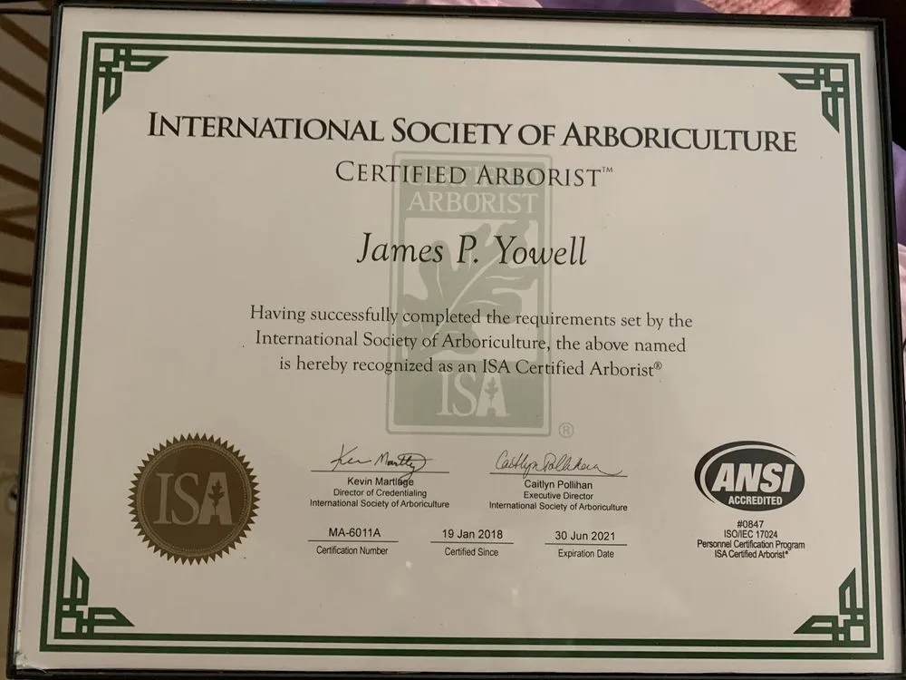 Professional landscape installation in Madison, VA - Yowell's Property Enhancements