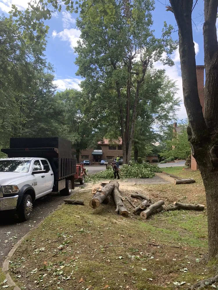 Affordable garden landscaping in Madison, VA by Yowell's Property Enhancements