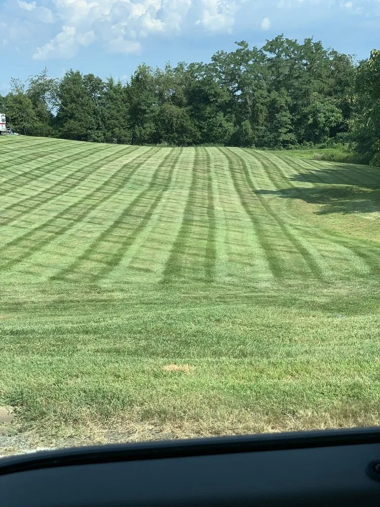 Top-rated landscape design near you across Madison, VA - Yowell's Property Enhancements