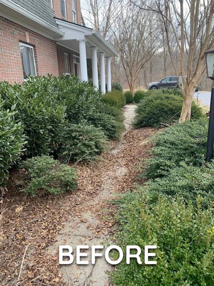 Trusted lawn mowing service with custom design across Madison, VA - Yowell's Property Enhancements