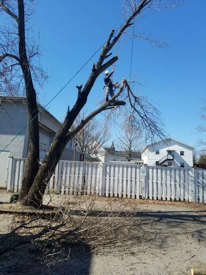 Local garden landscaping in Madison, VA by Yowell's Property Enhancements