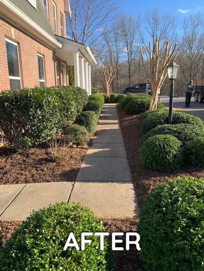Top-rated yard cleanup service for outdoor upgrades across Madison, VA - Yowell's Property Enhancements