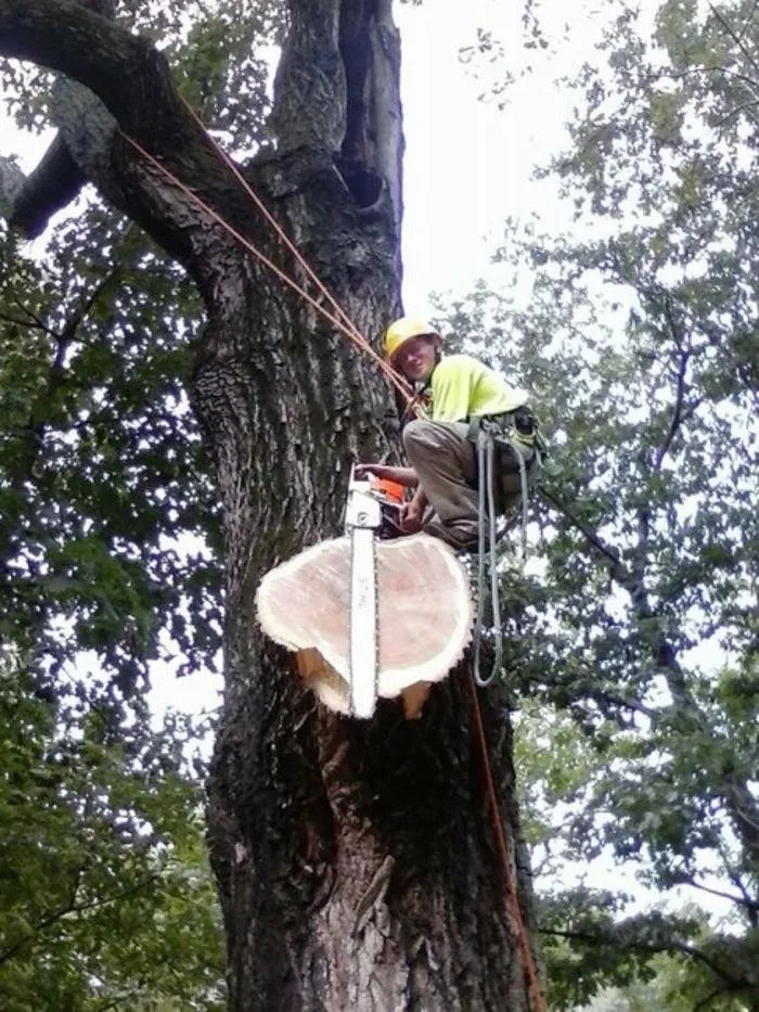 Top-rated landscaping services experts serving Madison, VA - Yowell's Property Enhancements