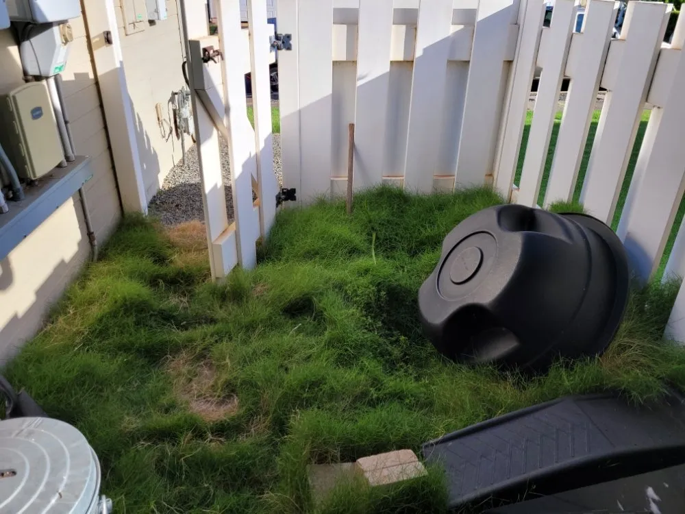 Local garden landscaping experts serving Urban Honolulu, HI - Yoy Yard Services