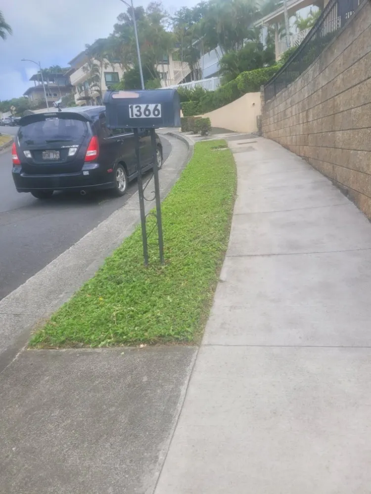 Expert lawn mowing service in Urban Honolulu, HI - Yoy Yard Services
