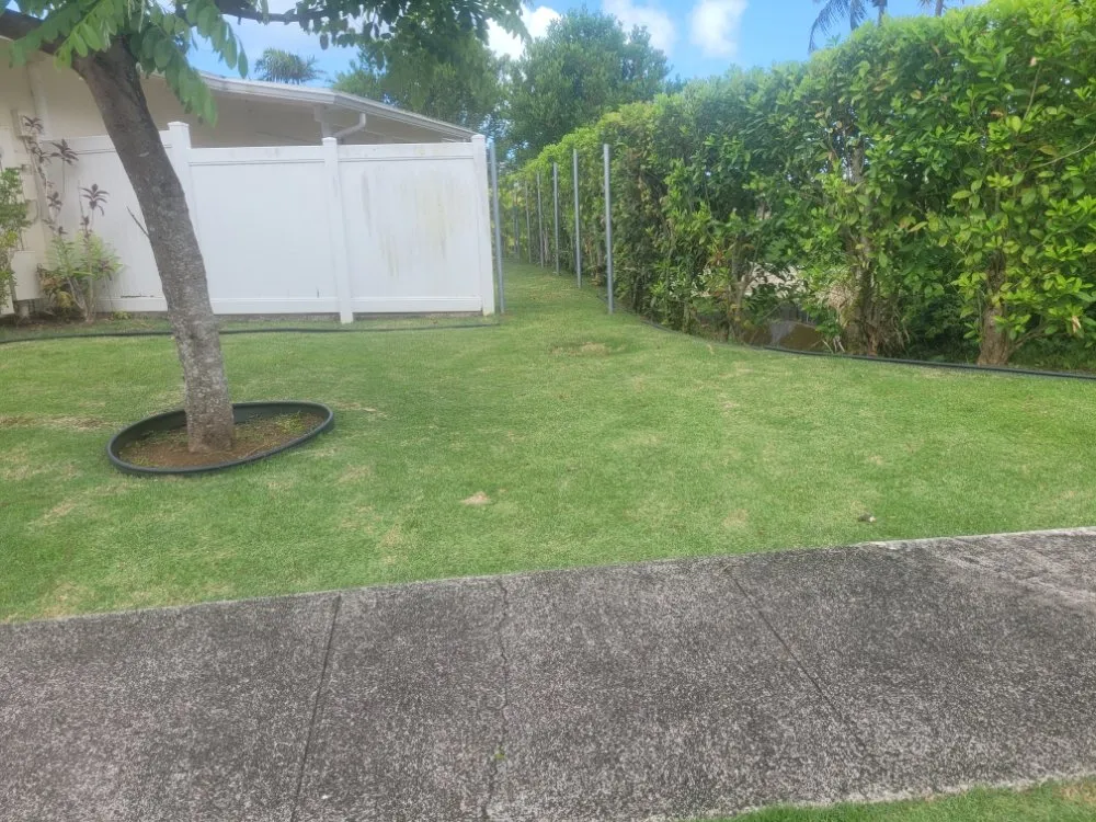 Custom landscaping services for year-round maintenance in Urban Honolulu, HI by Yoy Yard Services