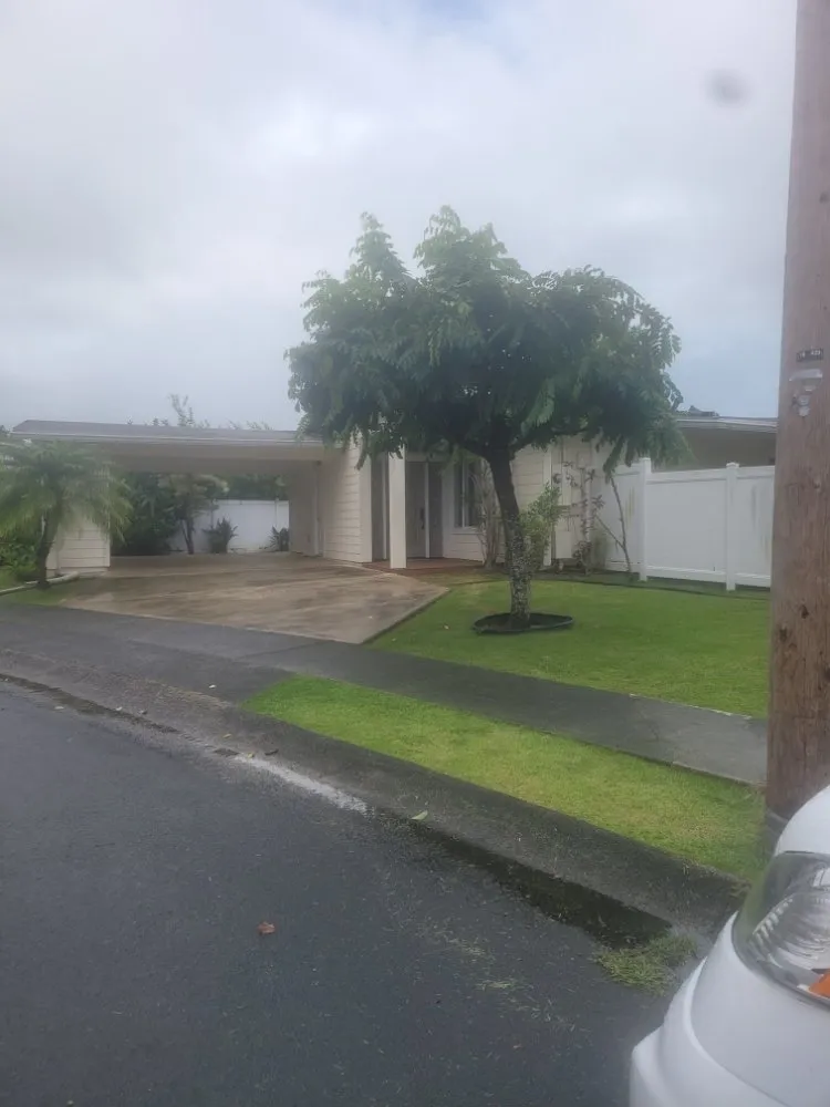 Trusted residential landscaping experts serving Urban Honolulu, HI - Yoy Yard Services