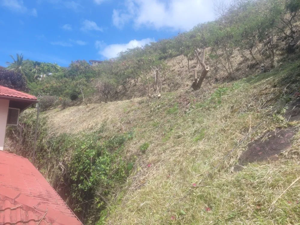 Top-rated outdoor landscaping in Urban Honolulu, HI by Yoy Yard Services