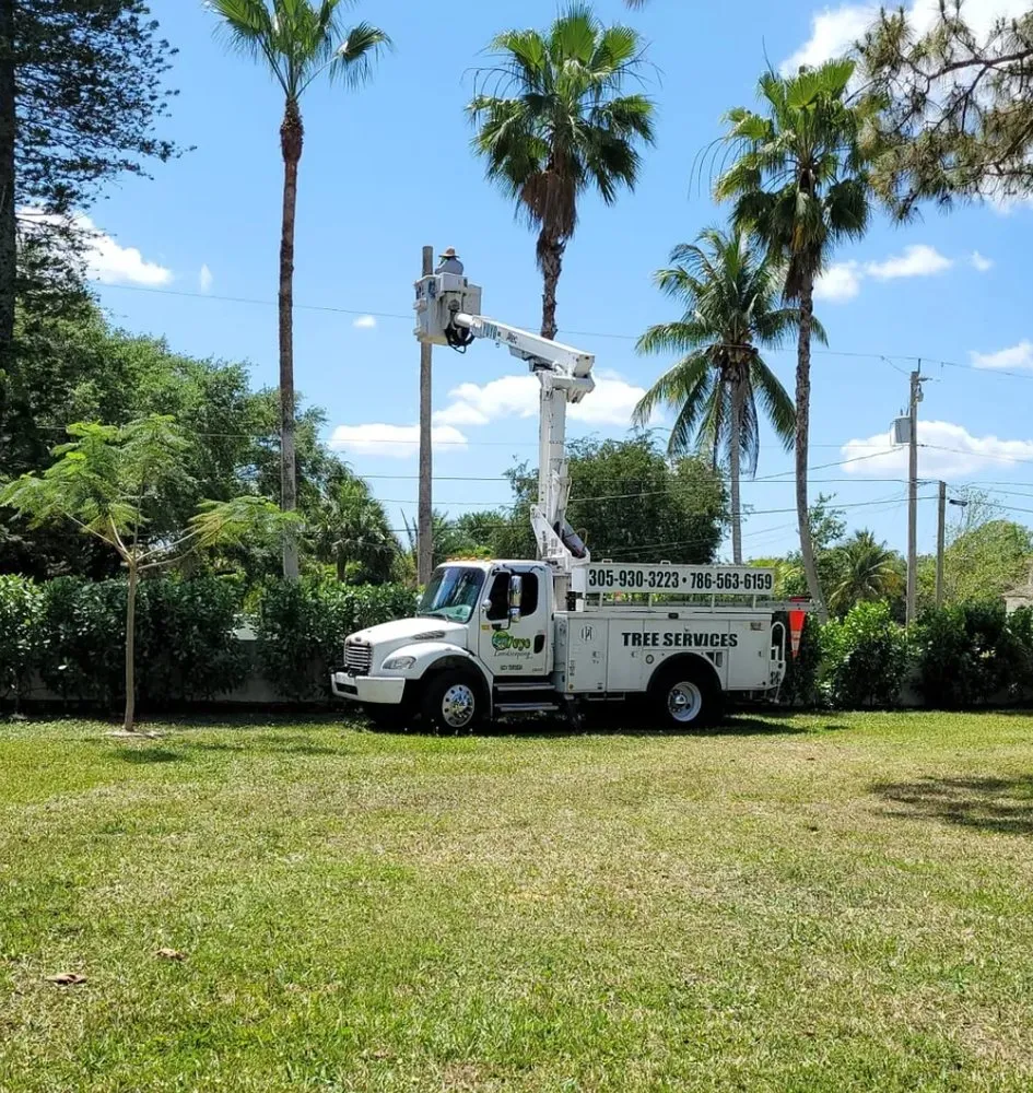 Expert landscaping services in Miramar, FL by Yoyo Landscaping