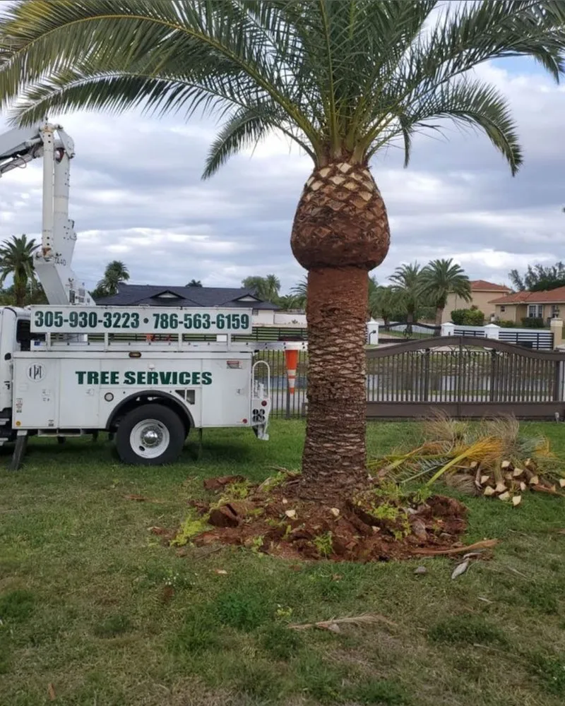 Custom landscape installation for beautiful yards across Miramar, FL - Yoyo Landscaping