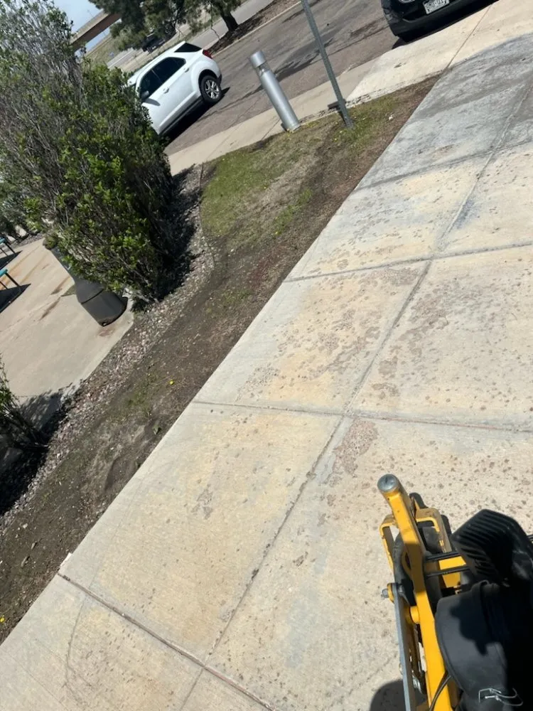 Affordable landscape installation in Denver, CO - YPMI services