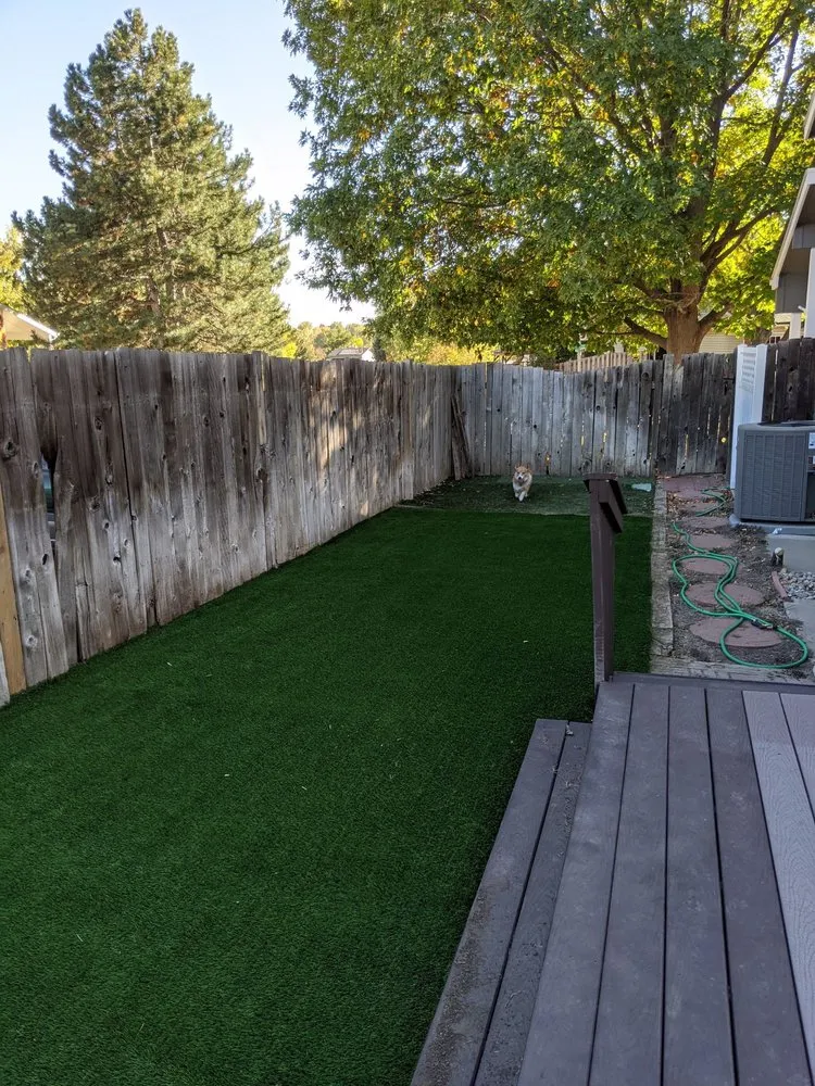 Affordable yard maintenance in Denver, CO by YPMI services
