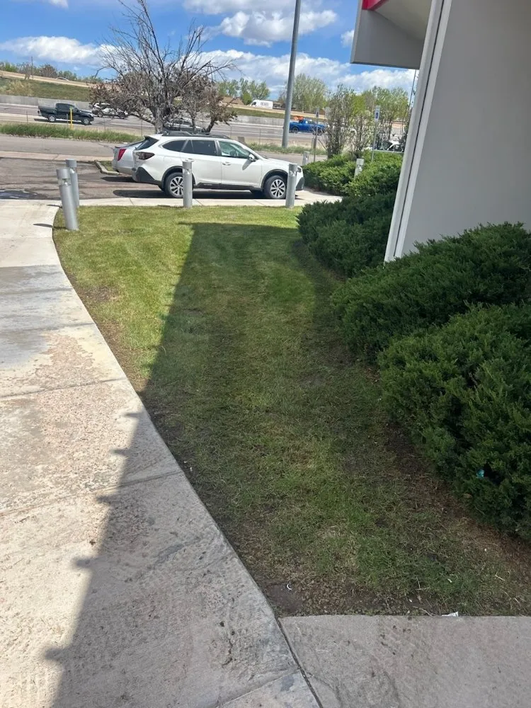 Affordable yard maintenance near you in Denver, CO by YPMI services