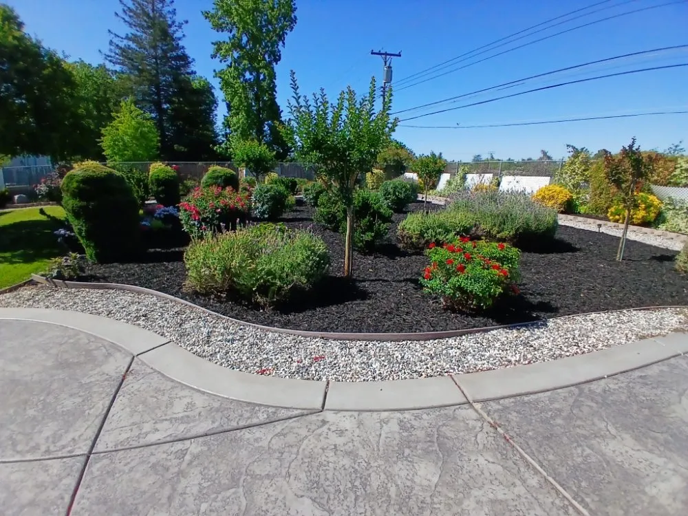 Reliable lawn mowing service with custom design in Sacramento, CA by YR Gallardo Landscaping