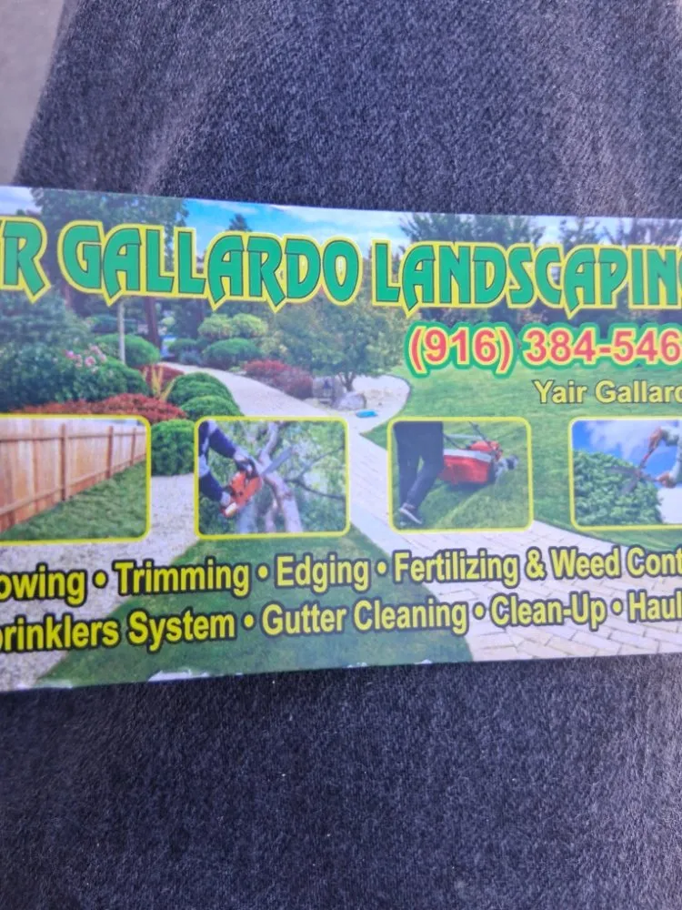 Top-rated outdoor landscaping in Sacramento, CA by YR Gallardo Landscaping