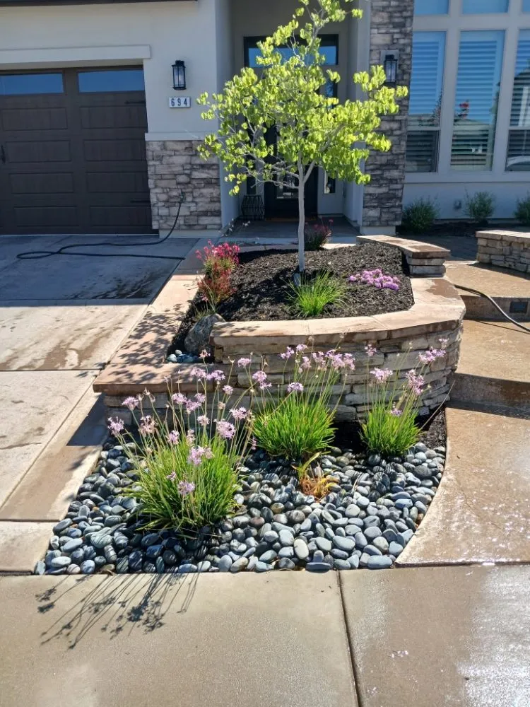 Expert yard maintenance in Sacramento, CA - YR Gallardo Lanscaping