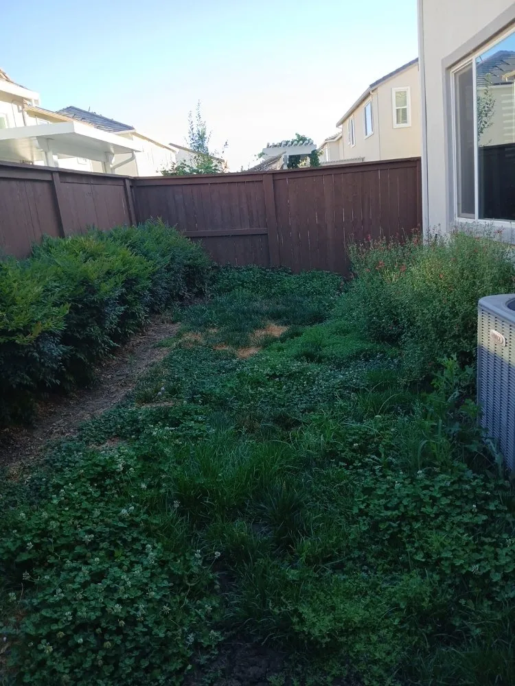 Trusted landscaping services in Sacramento, CA by YR Gallardo Lanscaping