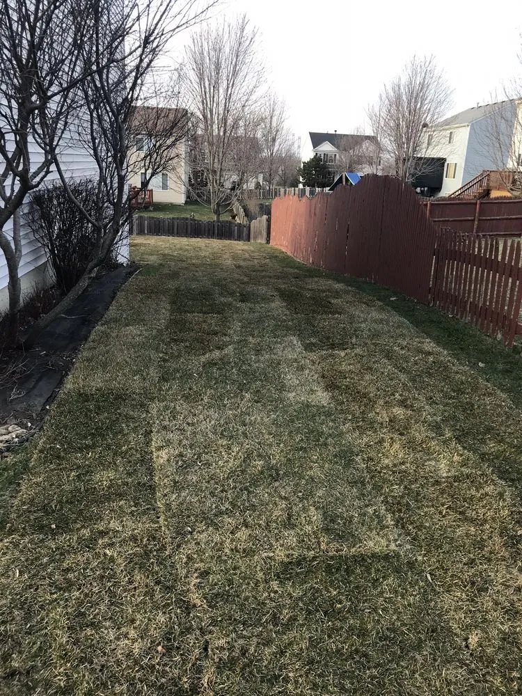 Reliable landscaping services near you in Romeoville, IL by Y&R Landscaping