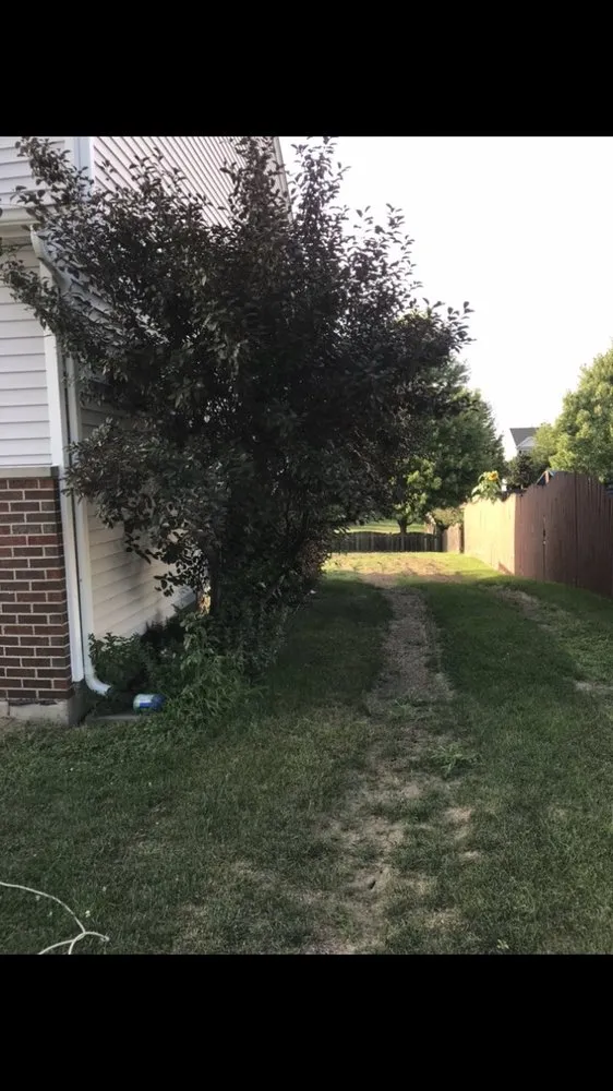 Local landscaping services experts serving Romeoville, IL - Y&R Landscaping