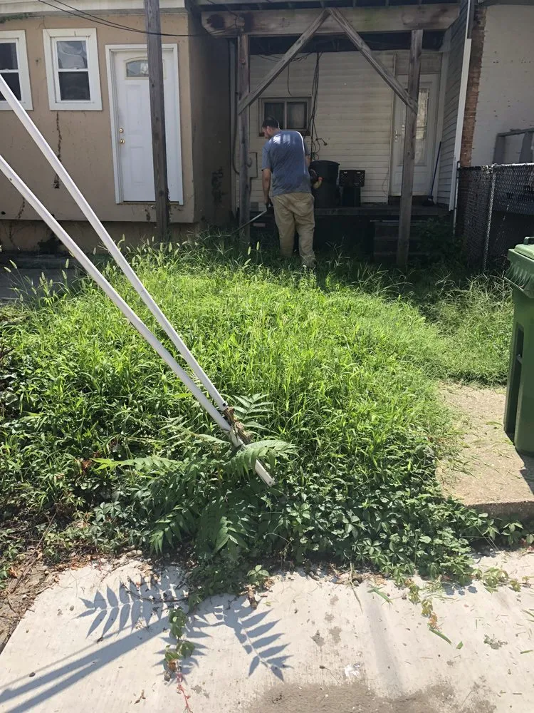 Local yard cleanup service experts serving Baltimore, MD - YRC landscaping