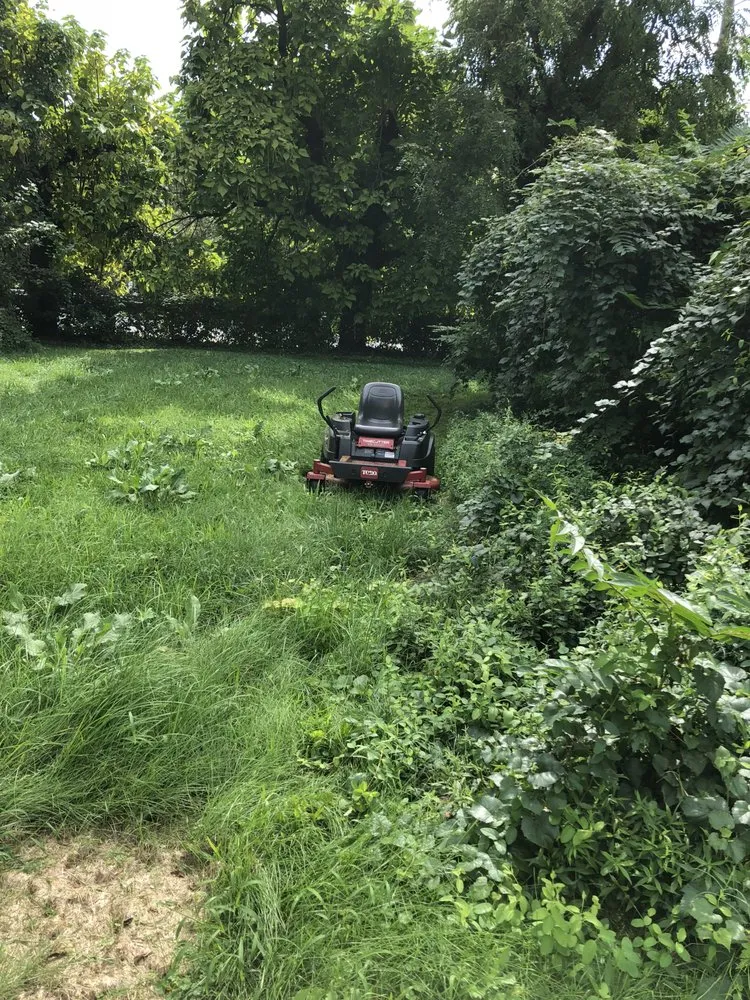 Local residential landscaping in Baltimore, MD by YRC landscaping