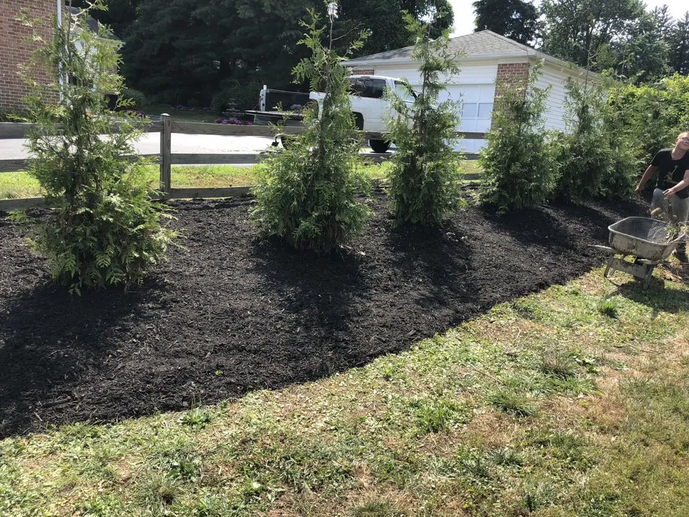 Expert yard cleanup service in Baltimore, MD - YRC landscaping